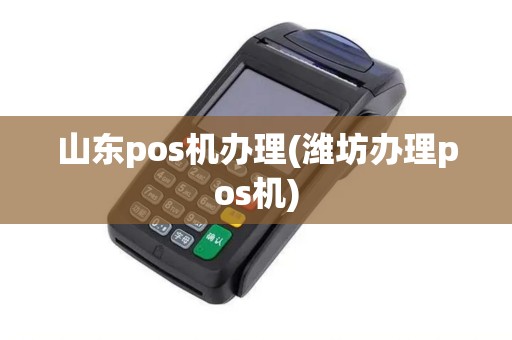 山东pos机办理(潍坊办理pos机)