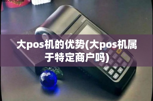 大pos机的优势(大pos机属于特定商户吗)