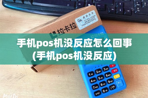 手机pos机没反应怎么回事(手机pos机没反应)