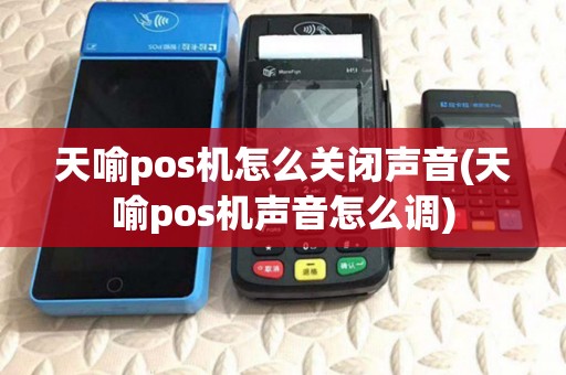 天喻pos机怎么关闭声音(天喻pos机声音怎么调)