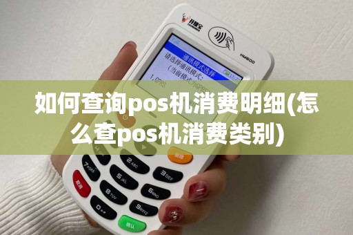 如何查询pos机消费明细(怎么查pos机消费类别)