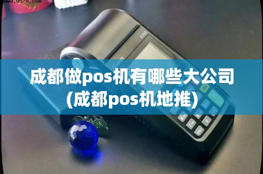 成都做pos机有哪些大公司(成都pos机地推)