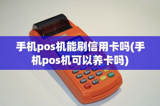 手机pos机能刷信用卡吗(手机pos机可以养卡吗)