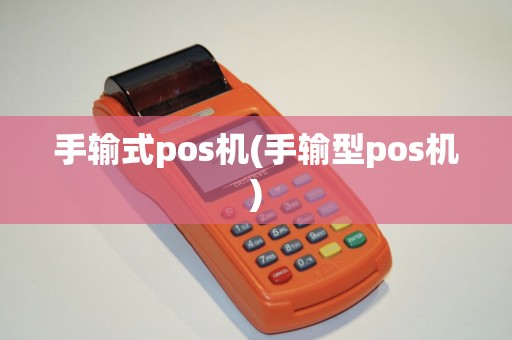 手输式pos机(手输型pos机)