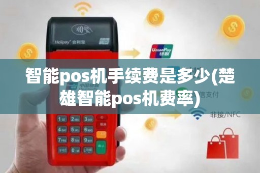 智能pos机手续费是多少(楚雄智能pos机费率)