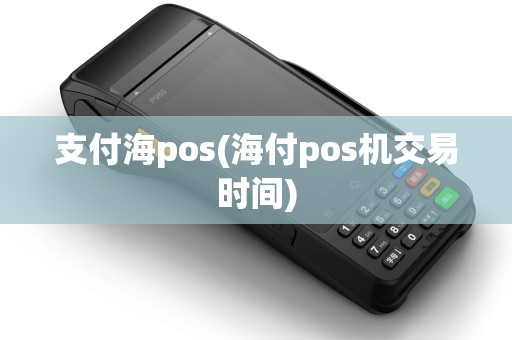 支付海pos(海付pos机交易时间)