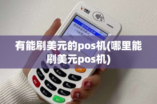 有能刷美元的pos机(哪里能刷美元pos机)