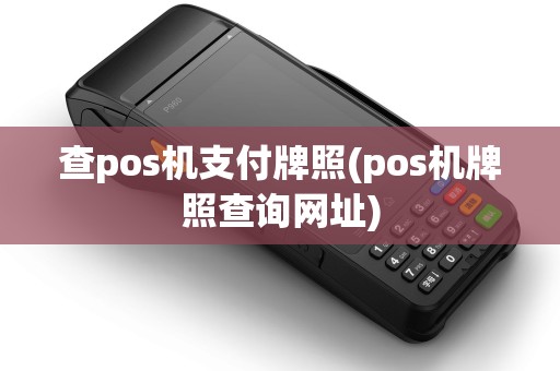 查pos机支付牌照(pos机牌照查询网址)