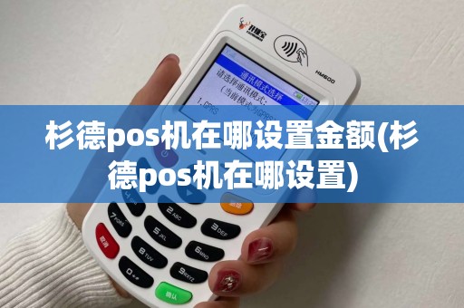 杉德pos机在哪设置金额(杉德pos机在哪设置)
