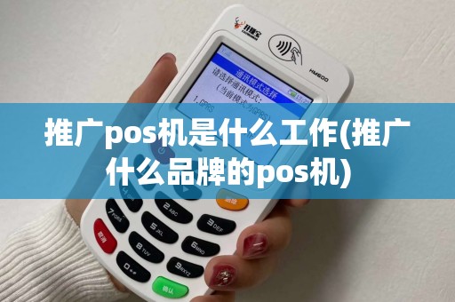 推广pos机是什么工作(推广什么品牌的pos机)