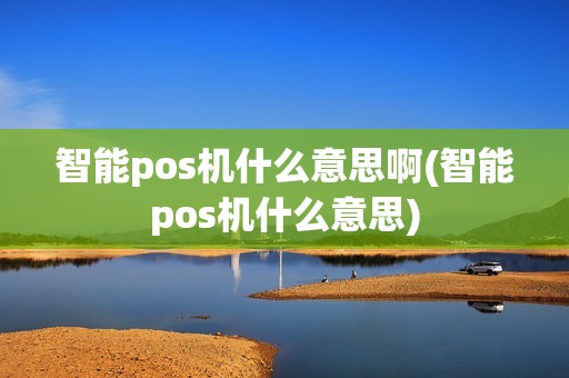 智能pos机什么意思啊(智能pos机什么意思)