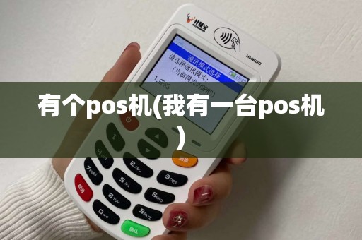 有个pos机(我有一台pos机)
