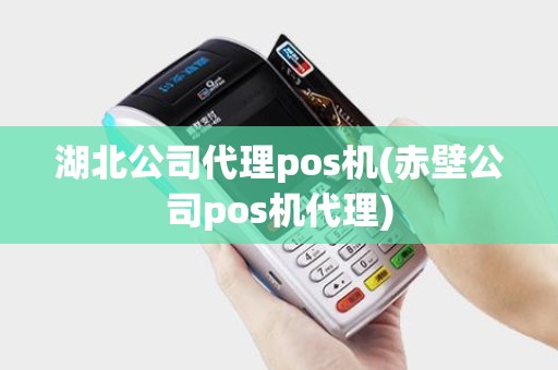 湖北公司代理pos机(赤壁公司pos机代理)