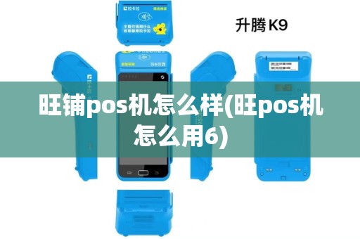 旺铺pos机怎么样(旺pos机怎么用6)