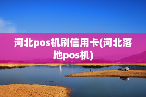 河北pos机刷信用卡(河北落地pos机)