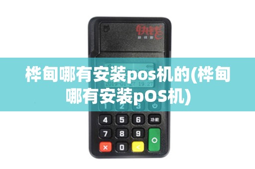 桦甸哪有安装pos机的(桦甸哪有安装pOS机)