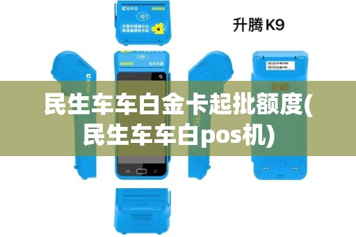 民生车车白金卡起批额度(民生车车白pos机)