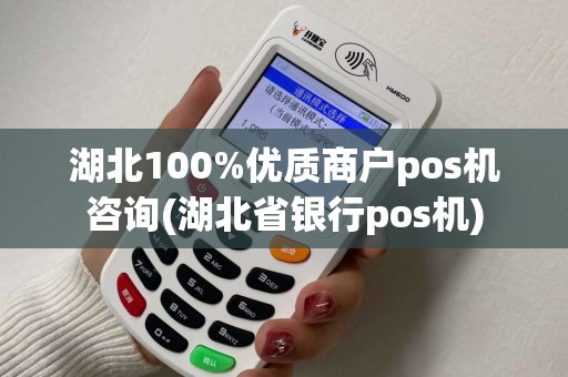 湖北100%优质商户pos机咨询(湖北省银行pos机)