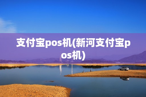 支付宝pos机(新河支付宝pos机)
