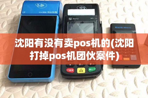 沈阳有没有卖pos机的(沈阳打掉pos机团伙案件)