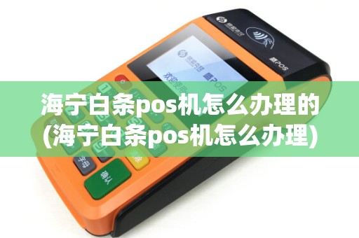海宁白条pos机怎么办理的(海宁白条pos机怎么办理)
