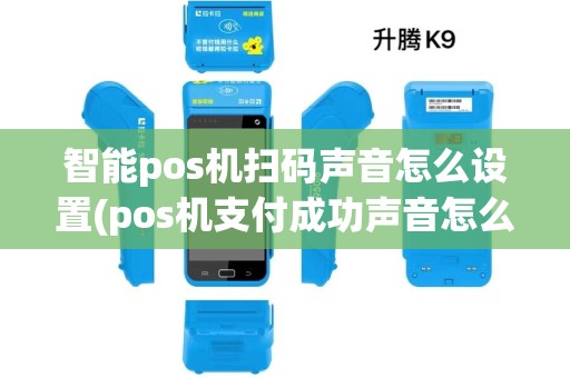 智能pos机扫码声音怎么设置(pos机支付成功声音怎么设置)