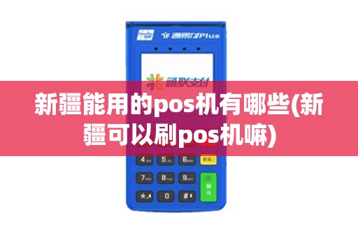 新疆能用的pos机有哪些(新疆可以刷pos机嘛)