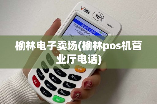 榆林电子卖场(榆林pos机营业厅电话)