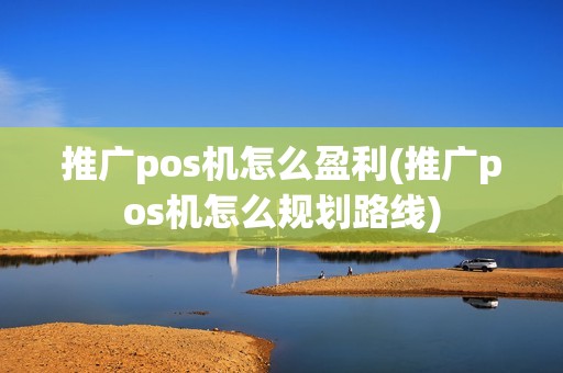 推广pos机怎么盈利(推广pos机怎么规划路线)
