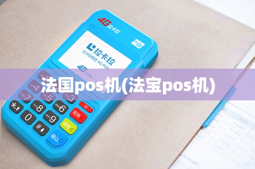 法国pos机(法宝pos机)