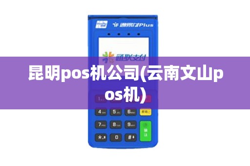 昆明pos机公司(云南文山pos机)