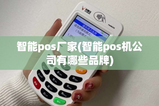 智能pos厂家(智能pos机公司有哪些品牌)