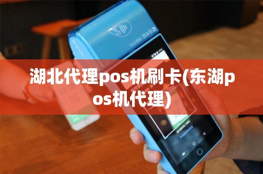 湖北代理pos机刷卡(东湖pos机代理)