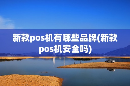 新款pos机有哪些品牌(新款pos机安全吗)