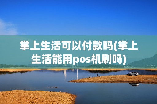 掌上生活可以付款吗(掌上生活能用pos机刷吗)