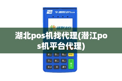 湖北pos机找代理(潜江pos机平台代理)