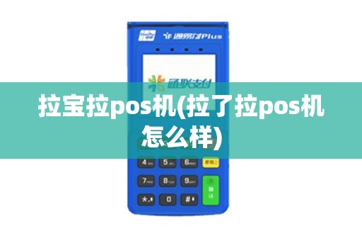 拉宝拉pos机(拉了拉pos机怎么样)