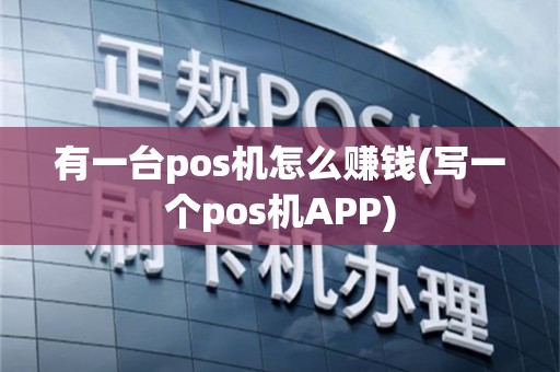 有一台pos机怎么赚钱(写一个pos机APP)