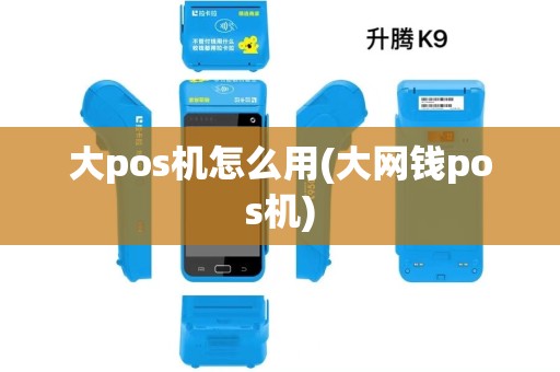 大pos机怎么用(大网钱pos机)