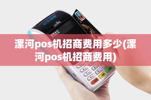 漯河pos机招商费用多少(漯河pos机招商费用)