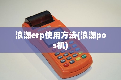 浪潮erp使用方法(浪潮pos机)