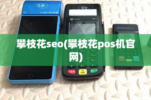 攀枝花seo(攀枝花pos机官网)