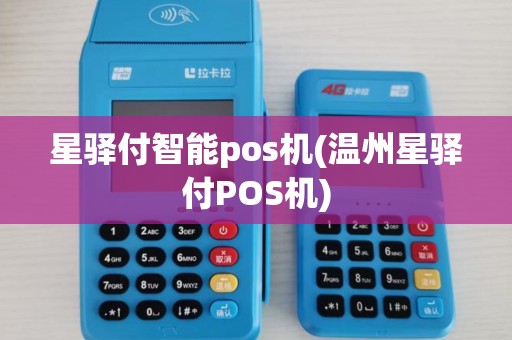 星驿付智能pos机(温州星驿付POS机)