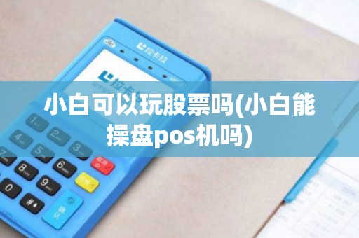 小白可以玩股票吗(小白能操盘pos机吗)