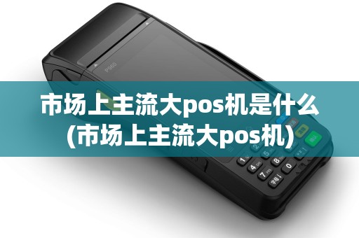 市场上主流大pos机是什么(市场上主流大pos机)