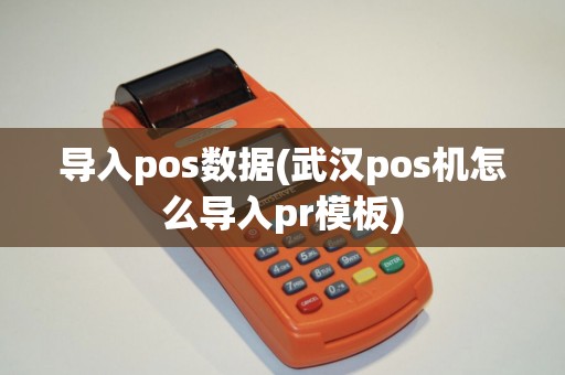 导入pos数据(武汉pos机怎么导入pr模板)
