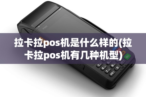 拉卡拉pos机是什么样的(拉卡拉pos机有几种机型)