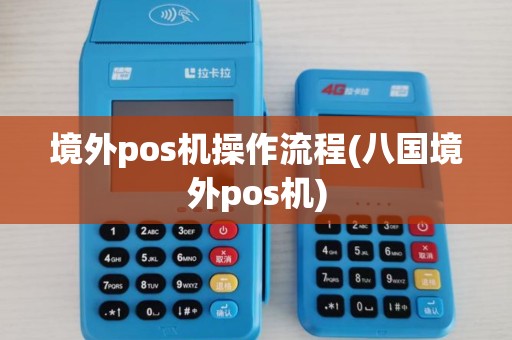 境外pos机操作流程(八国境外pos机)