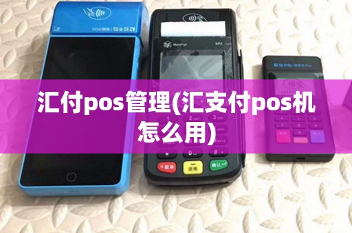 汇付pos管理(汇支付pos机怎么用)