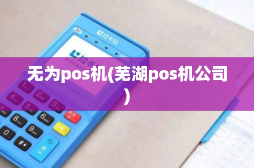 无为pos机(芜湖pos机公司)